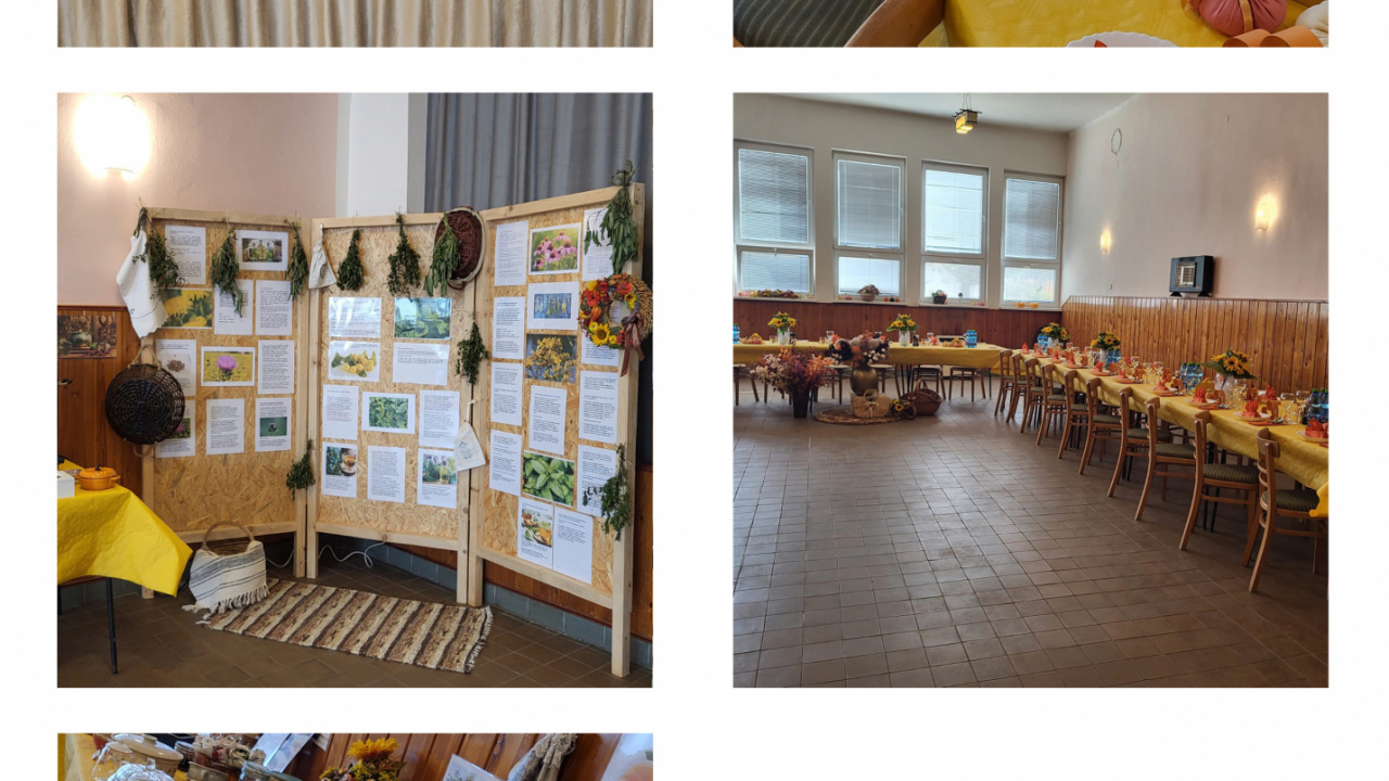 Úcta k starším 2025 